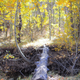 Image for article titled 48 Photos Of Autumn Around The World